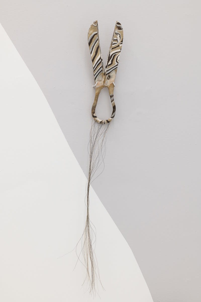 Surgical Scissors, Roman II